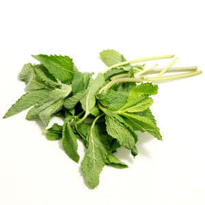 Fresh Mint Organic