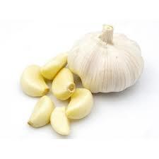 Garlic India