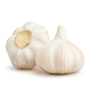 Garlic White China