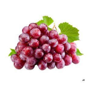 Grapes Red Globe Italy