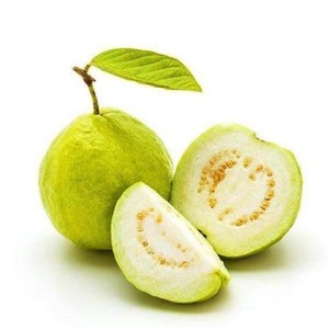 Guava Vietnam