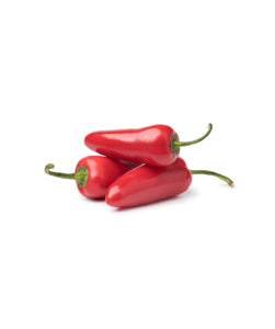 Jalapeno Chilli Red Holland