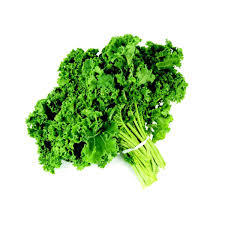 Kale Holland