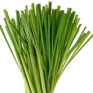 Lemon Grass Thailand