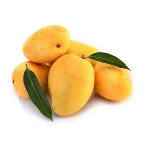 Mango Alphonso India