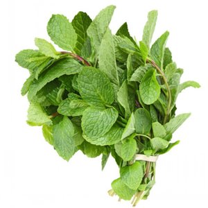 Mint Leaves Oman