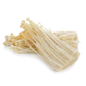 Mushroom Enoki Thailand