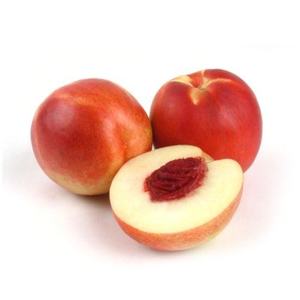 Nectarine Spain