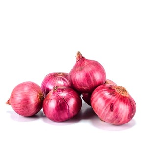 Onion India