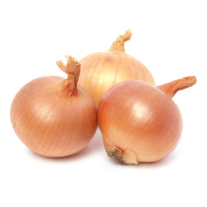 Onion India Brown