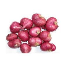 Onion Small India