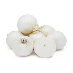 Onion White USA