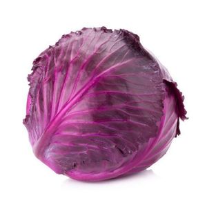 Organic Cabbage Red Lebanon