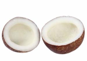 Organic Dry Coconut India