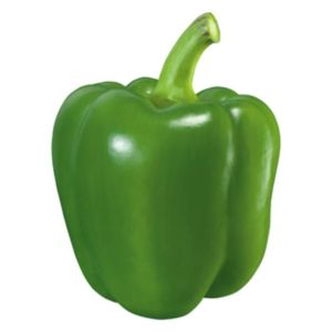 Organic Green Capsicum Holland