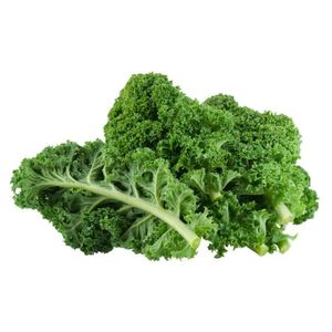 Organic Kale Curly Lebanon