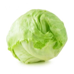 Organic Lettuce Iceberg Lebanon