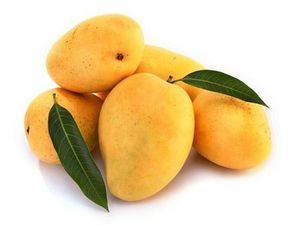 Organic Mango