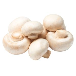 Organic Mushroom White Holland