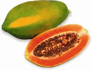 Papaya India