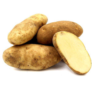 Potato Russet Usa