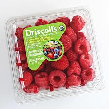 Raspberry Driscolls Mexico