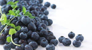 Ripe Organic Blueberries Argentina