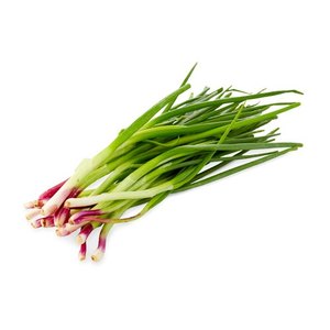 Spring Onion Oman