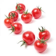 Tomato Cherry Holland