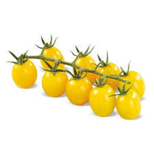 Tomato Cherry Yellow Holland