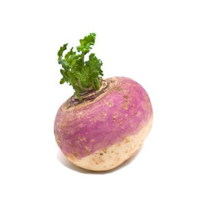 Turnip India